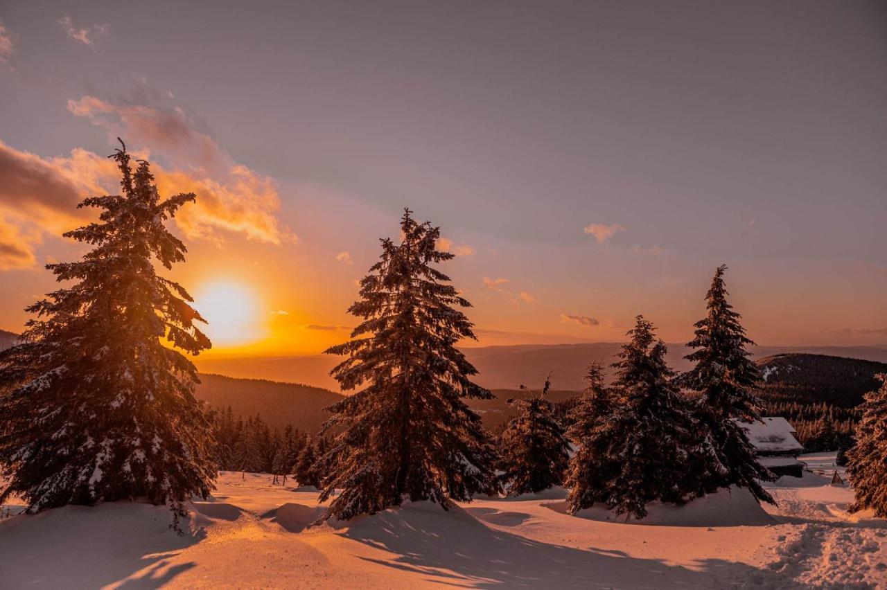 Gorskie Chatki Krysi I Piotrka Perlowy Stronie Slaskie Bagian luar foto