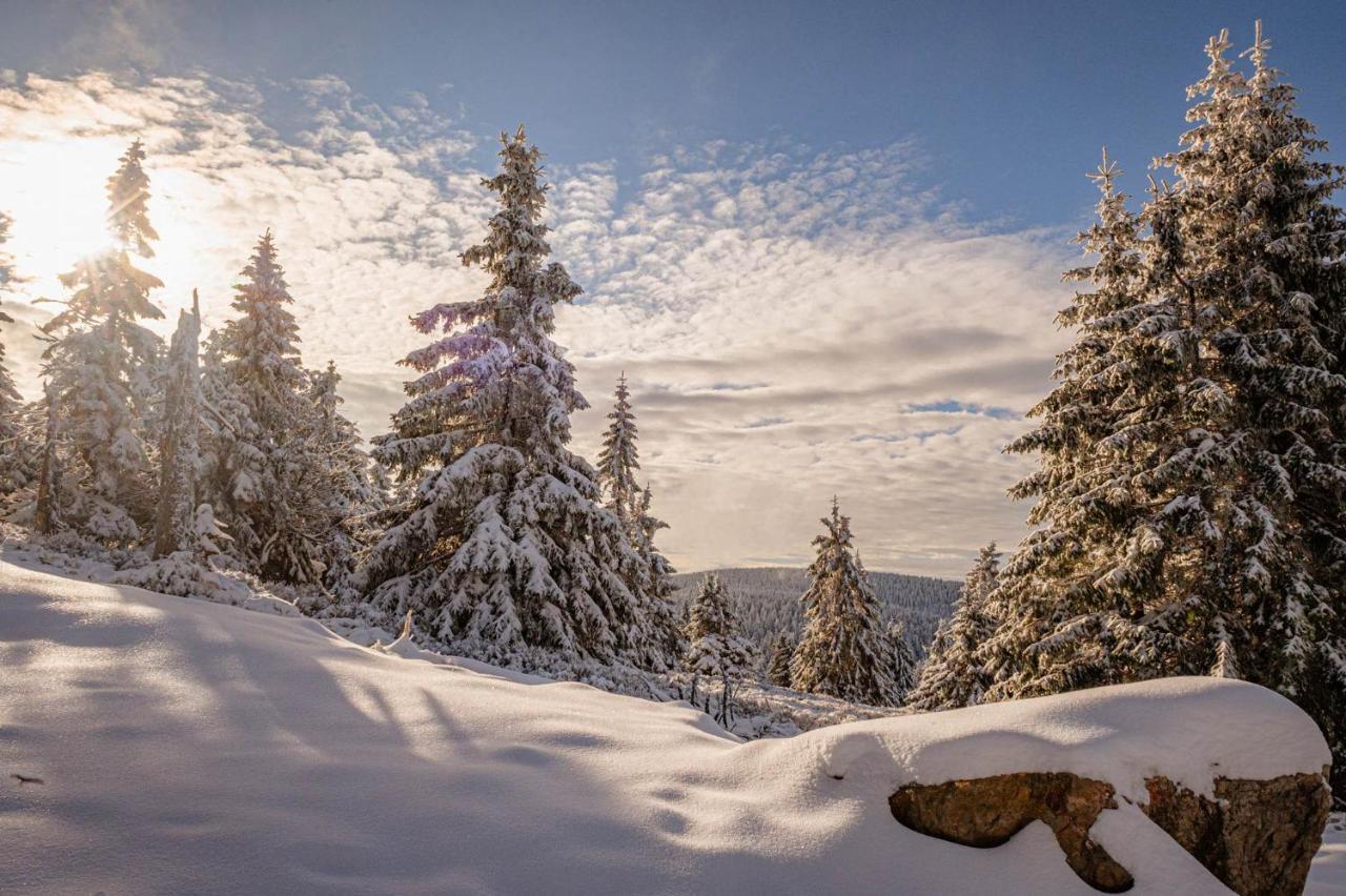 Gorskie Chatki Krysi I Piotrka Perlowy Stronie Slaskie Bagian luar foto